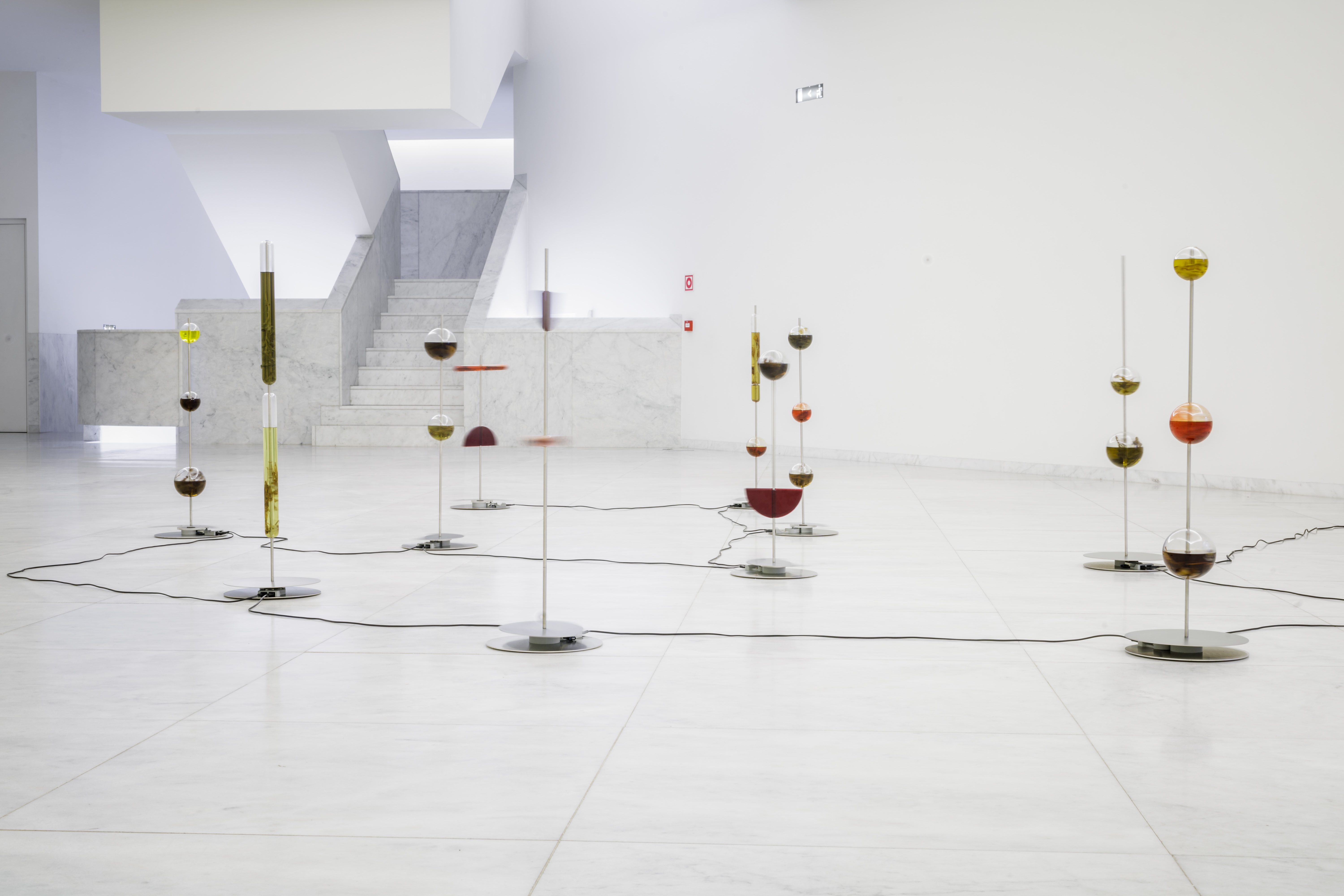 MercedesLachman_4750