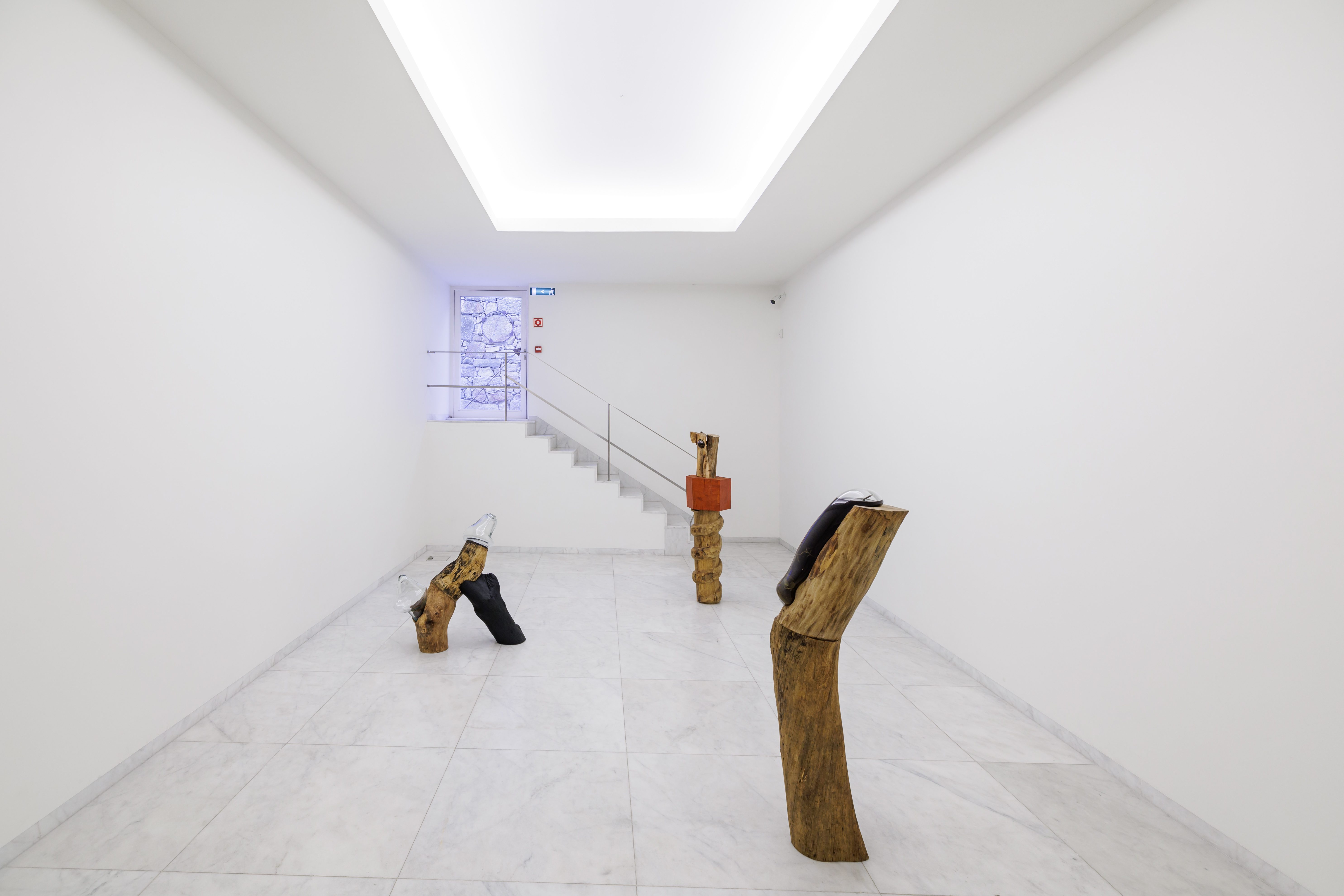 MercedesLachman_4923