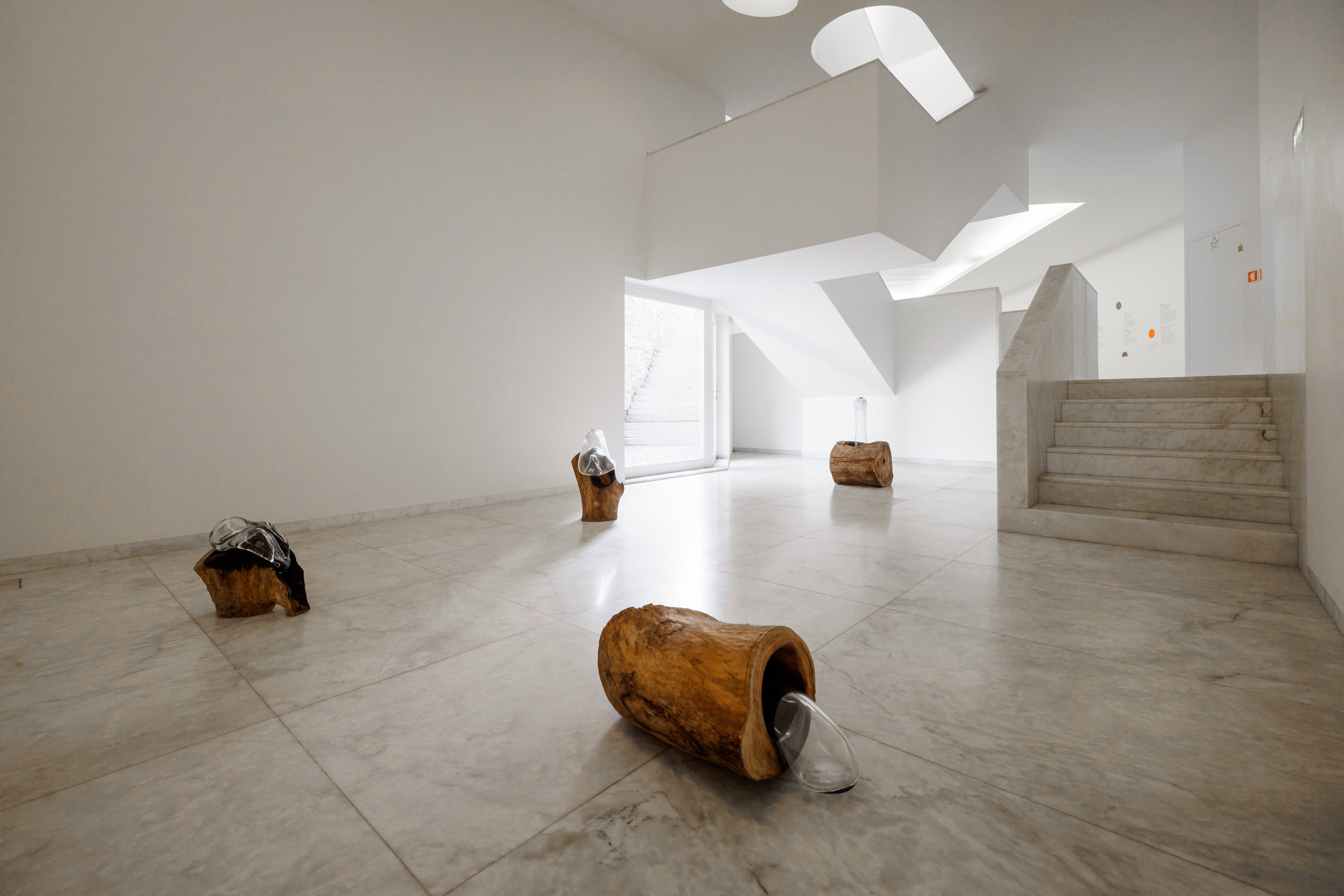 MercedesLachman_4964