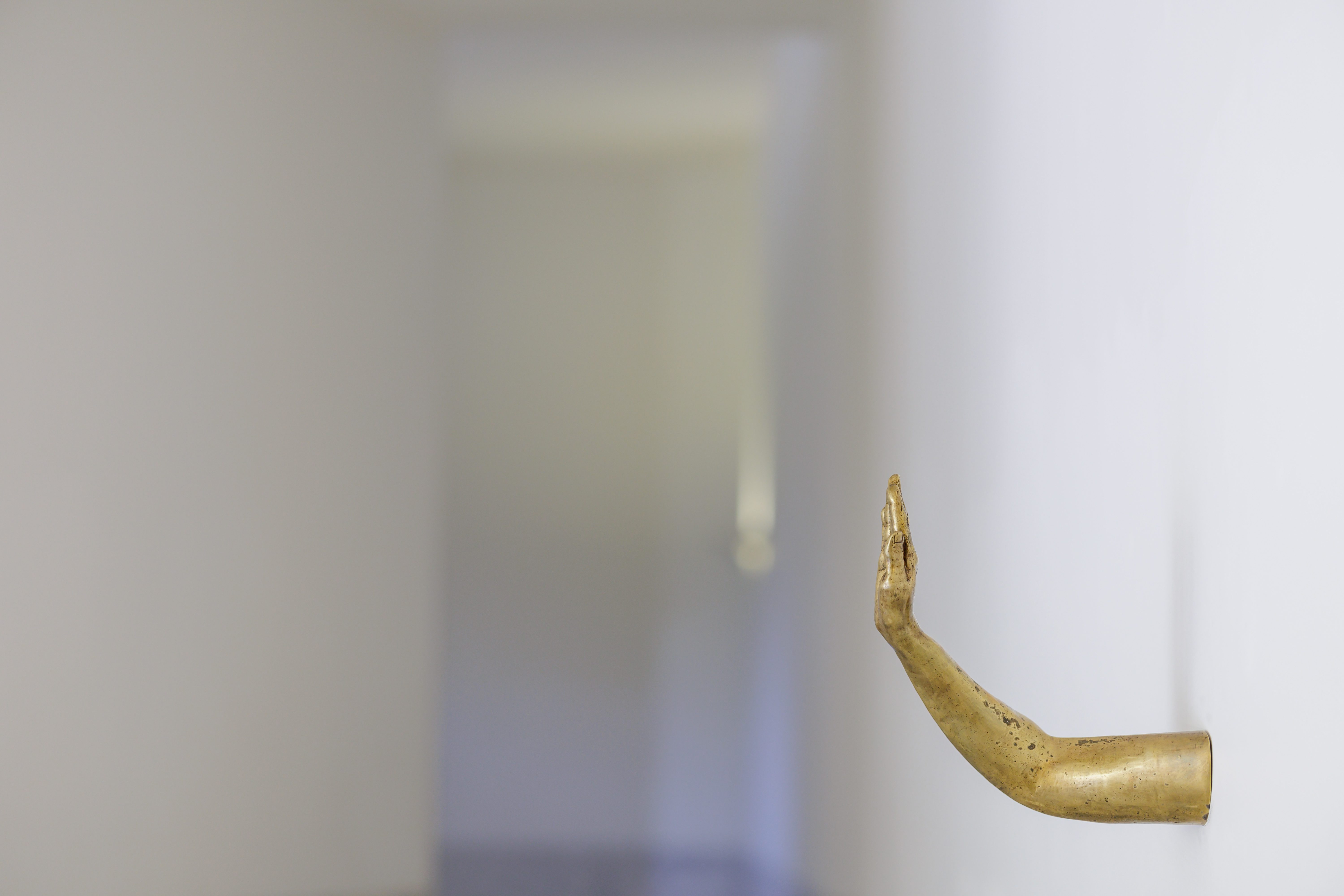 MercedesLachman_4982