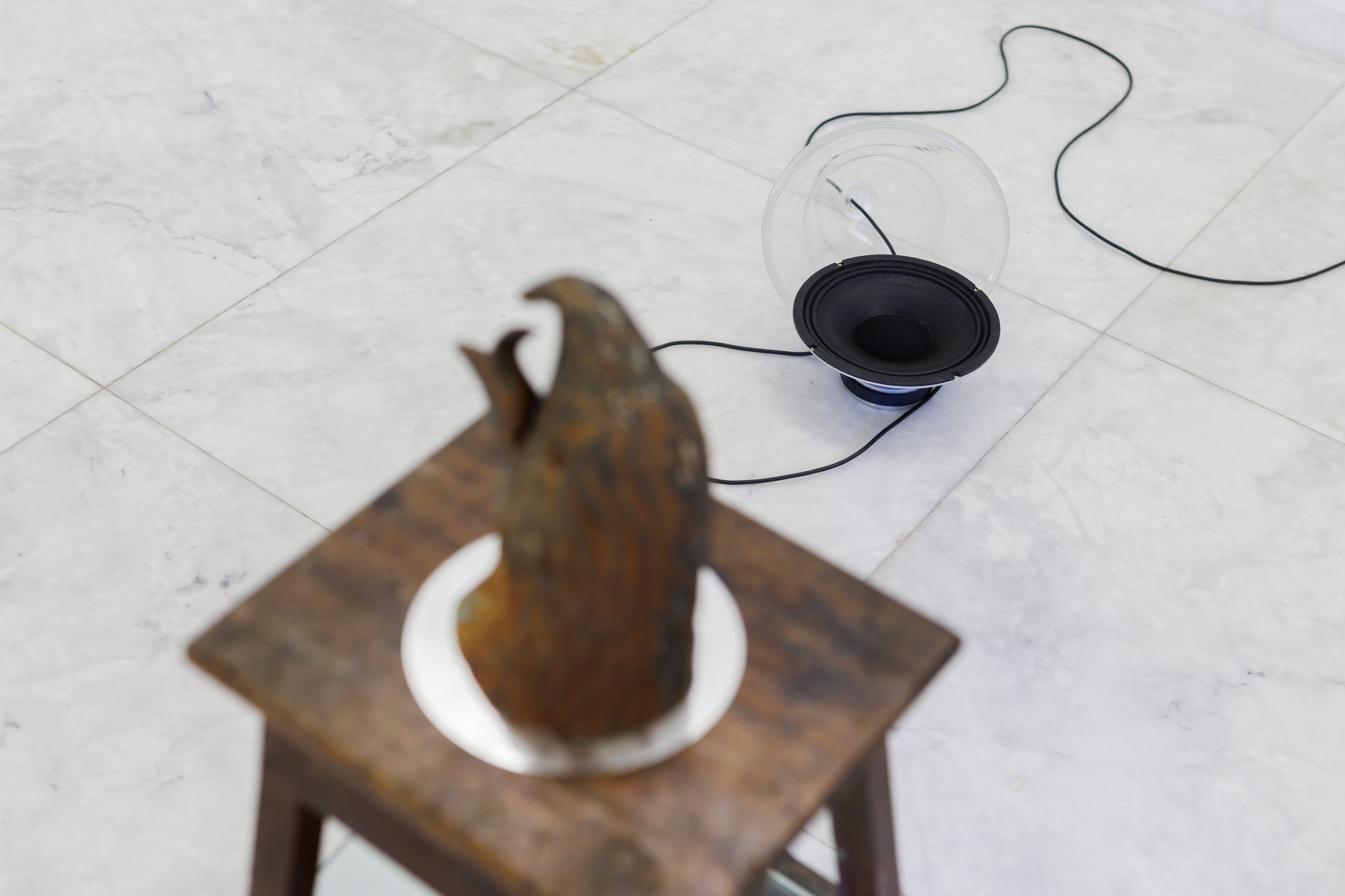 PEDROTUDELA115528_3885