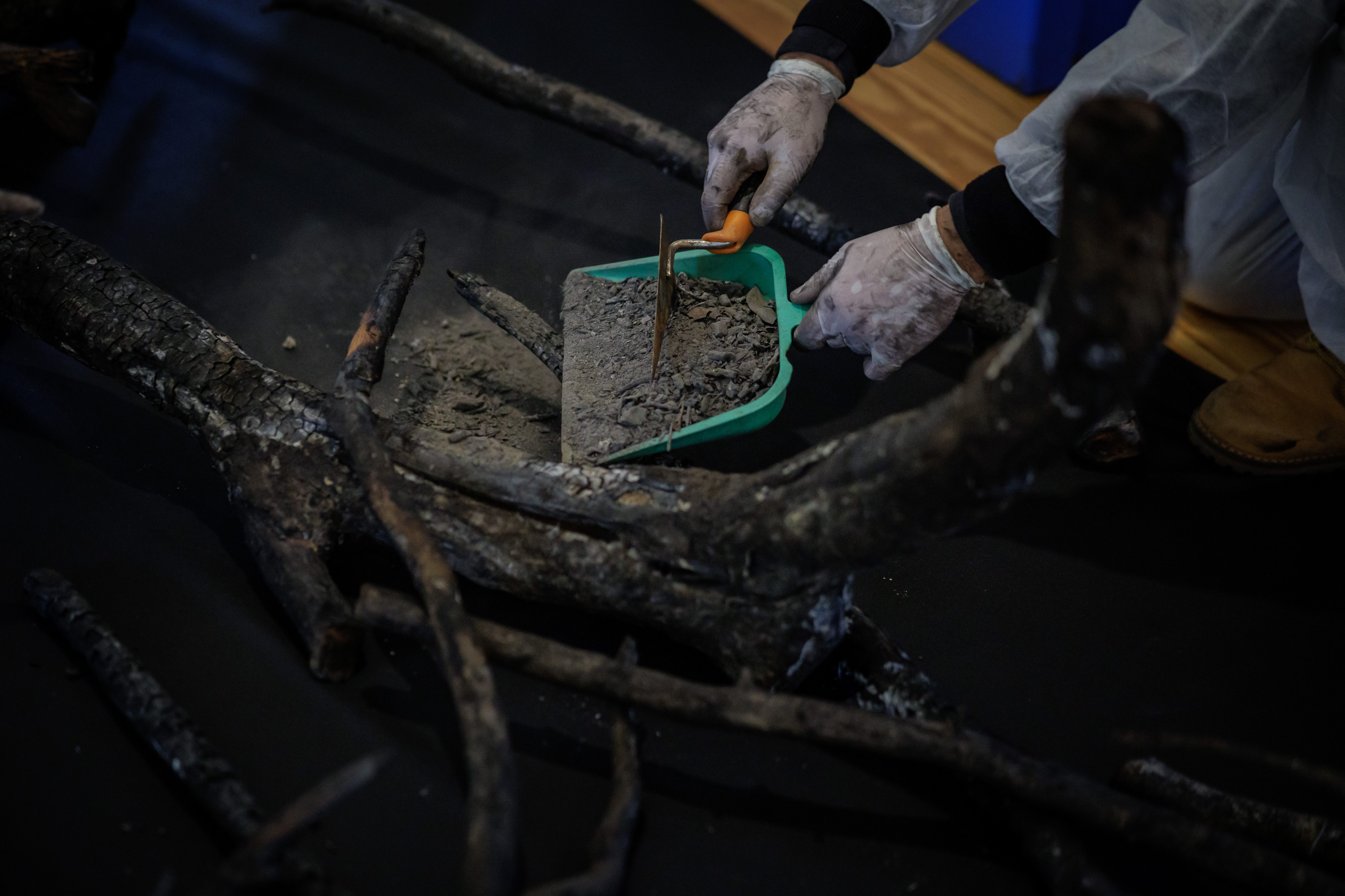 RURI_171409_MP1_9683