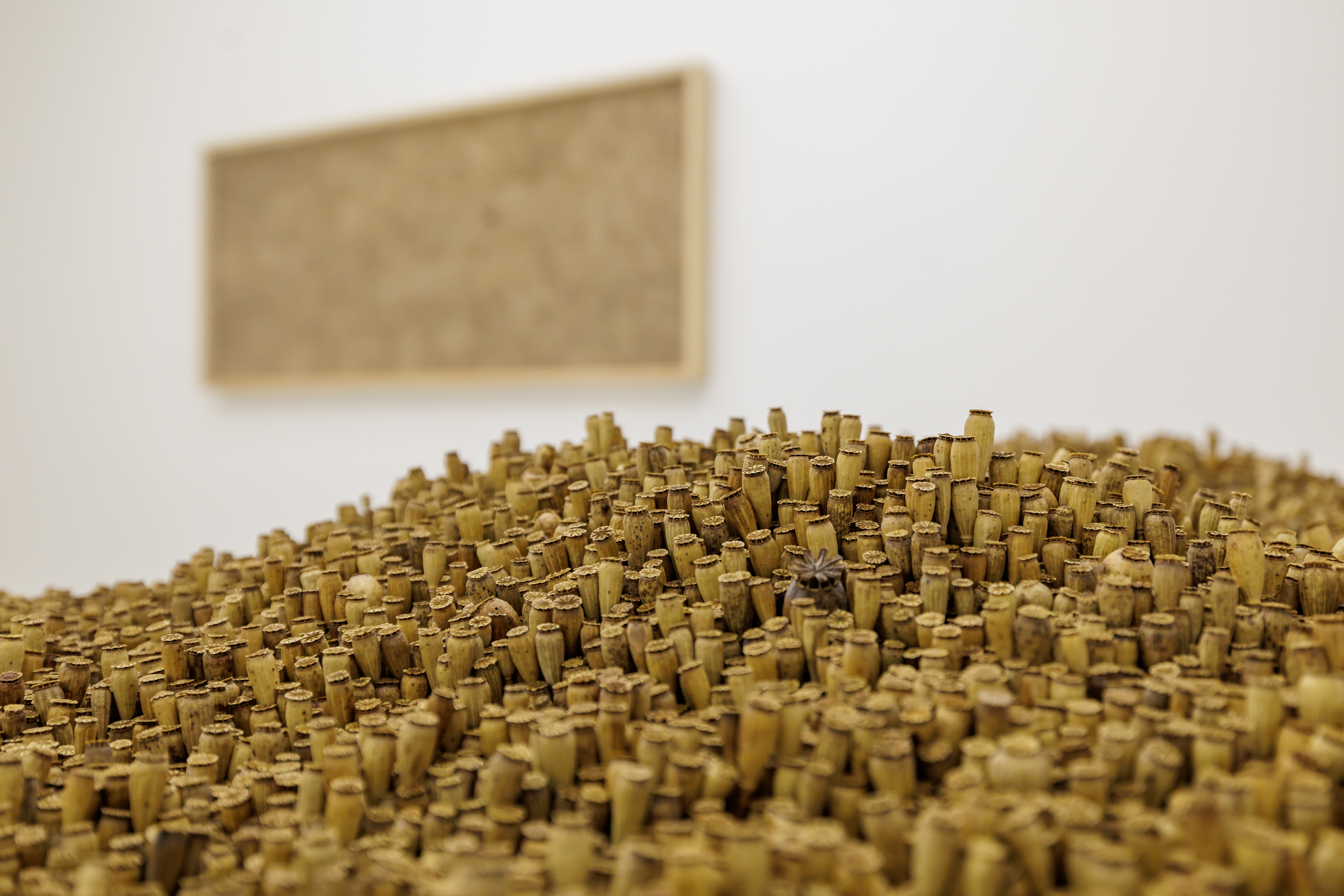 INTEMPORALIDADE_120500_8742